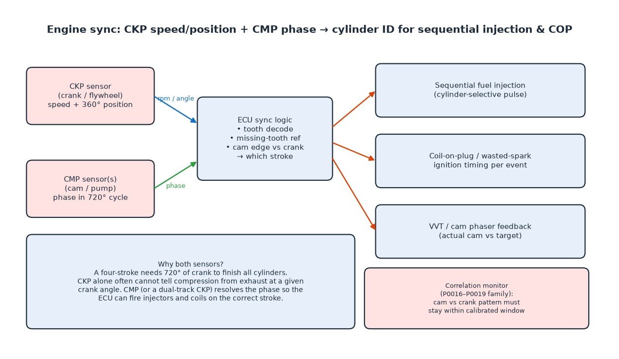 Block diagram of engine sync: CKP speed and position plus CMP phase into ECU sync logic for sequential injection, coil-on-plug ignition and VVT feedback, with crank/cam correlation monitor