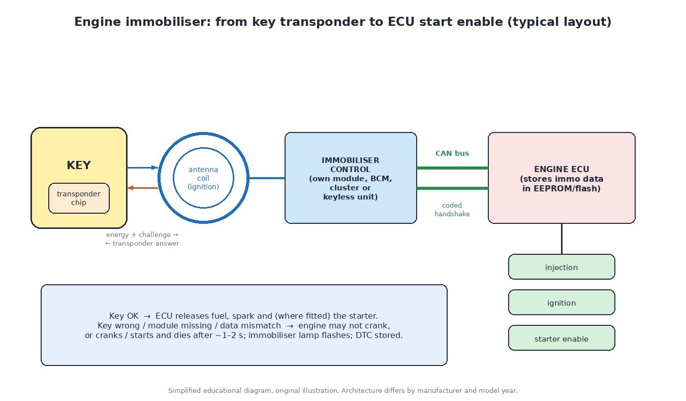 Diagram of an engine immobiliser system: key transponder, antenna coil around the ignition, immobiliser control unit and engine ECU linked by CAN bus, enabling injection, ignition and starter