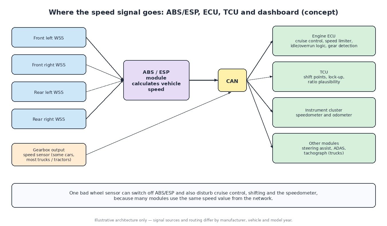 Diagram of four wheel speed sensors feeding the ABS/ESP module, which shares vehicle speed over CAN with the engine ECU, TCU, instrument cluster and other modules